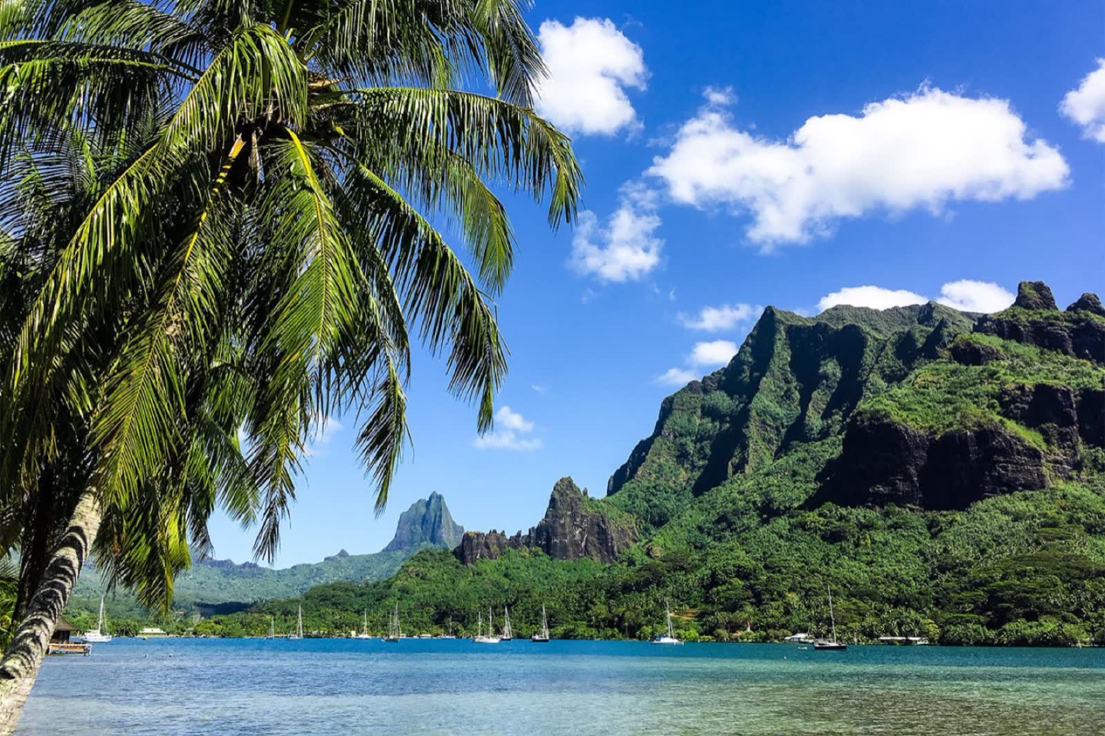 Green peaks of Moorea above a turquoise bay, French Polynesia